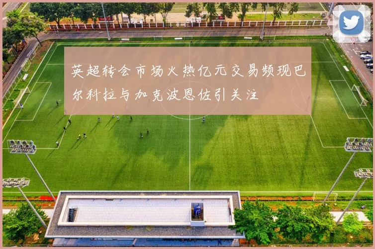 英超转会市场火热亿元交易频现巴尔科拉与加克波恩佐引关注